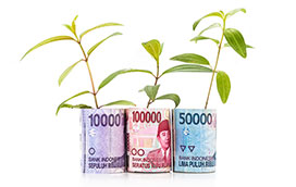 investasi reksadana