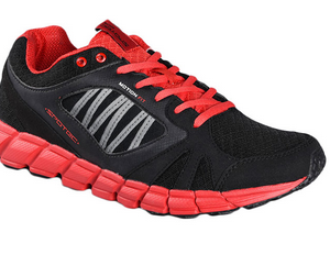 Sepatu