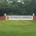 International University